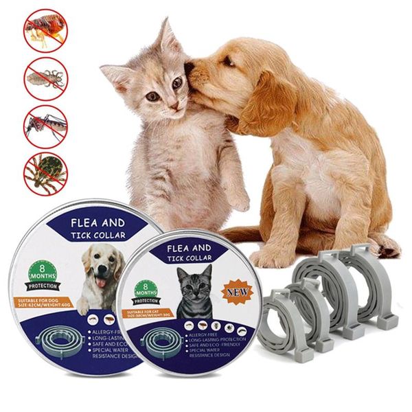 dog collars & leashes 38/63cm collar flea tick prevention pet cat waterproof mosquitoes repellent for puppy kitten supplies
dog collars & leashes 38/63cm collar flea tick prevention pet cat waterproof mosquitoes repellent for puppy kitten supplies