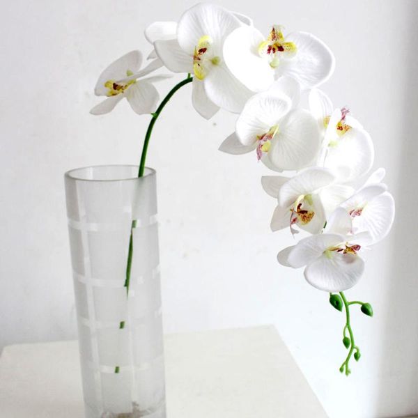 simulation fake orchid vivid flower bouquet hite beautiful artificial plastic flower for home decoration beautify environment
simulation fake orchid vivid flower bouquet hite beautiful artificial plastic flower for home decoration beautify environment