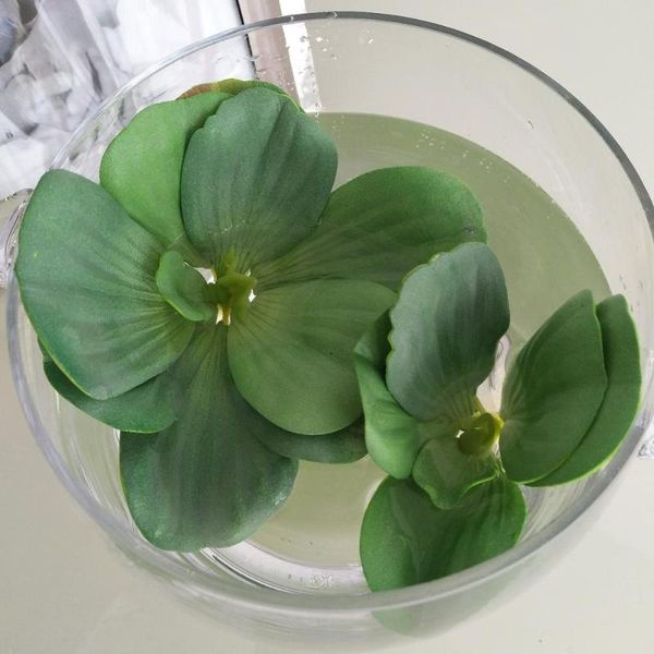 15cm 9cm 3pcs artificial mini lotus leaf fish tank floating fake plants plastic water grass pool aquarium home decoration props
15cm 9cm 3pcs artificial mini lotus leaf fish tank floating fake plants plastic water grass pool aquarium home decoration props