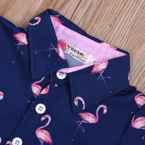 short children's new 2021 sleeve boys' ostrich print lapel shirt western shorts suit
short children's new 2021 sleeve boys' ostrich print lapel shirt western shorts suit