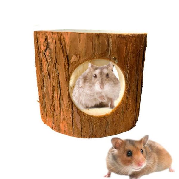 small animal supplies hamster toy flying squirrel honey bag mustard natural tee tree hole tunnel chew molar 85g
small animal supplies hamster toy flying squirrel honey bag mustard natural tee tree hole tunnel chew molar 85g