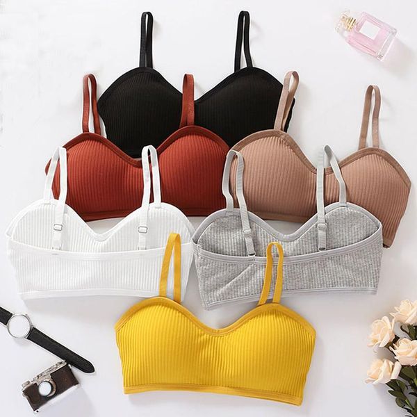 bras wireless bralette lingerie cotton for women underwear push up padded bra without underwire female brassiere, Red;black
bras wireless bralette lingerie cotton for women underwear push up padded bra without underwire female brassiere, Red;black
