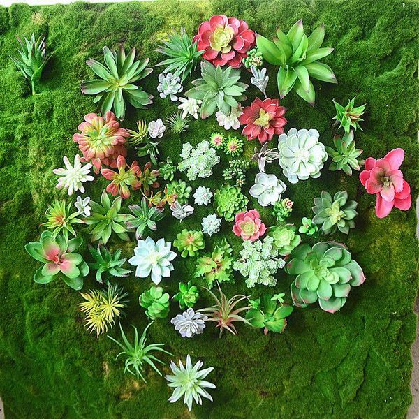 artificial succulent decoration fake landscaping micro landscape accessories table modern home decoration craft plants supplies
artificial succulent decoration fake landscaping micro landscape accessories table modern home decoration craft plants supplies