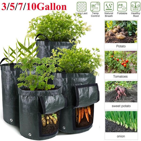 planters & pots potato grow bag pe vegetable onion plant with handle thicken garden carrot taro peanut growing durable seed tool
planters & pots potato grow bag pe vegetable onion plant with handle thicken garden carrot taro peanut growing durable seed tool