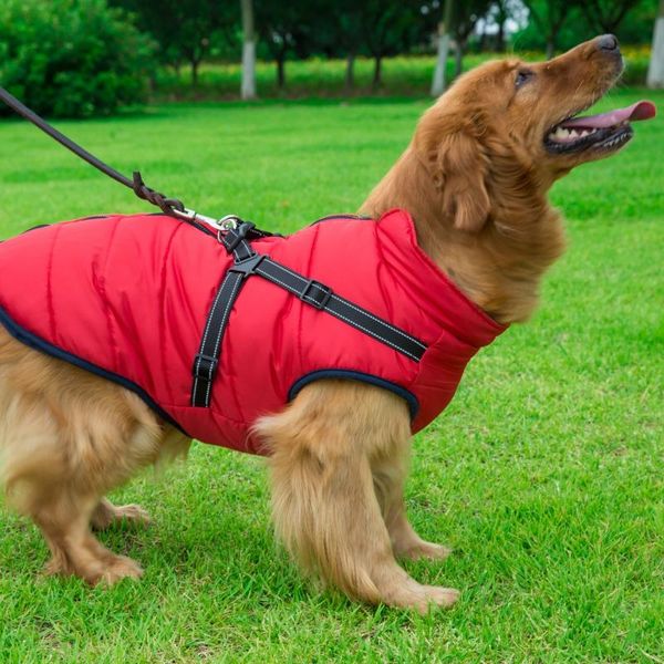 dog apparel pets winter autumn skiing costume sleeveless cotton padded vest with durable chest strap harness arrival
dog apparel pets winter autumn skiing costume sleeveless cotton padded vest with durable chest strap harness arrival