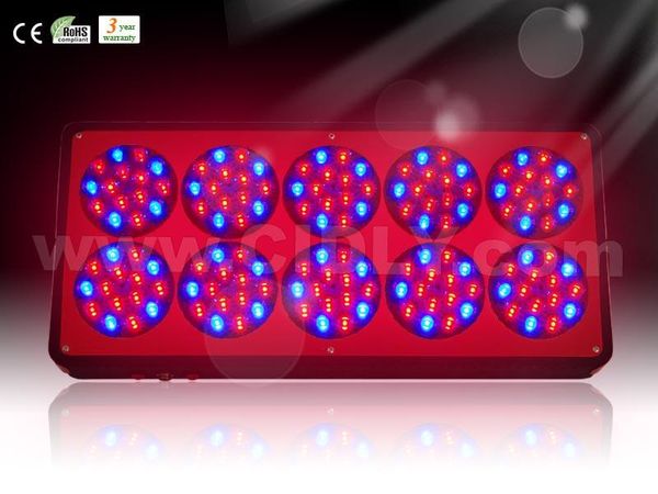 led grow light full spectrum 10 bands 380-730nm for indoor plants hydroponic system grow and flower, high yeild,long lifespan
led grow light full spectrum 10 bands 380-730nm for indoor plants hydroponic system grow and flower, high yeild,long lifespan