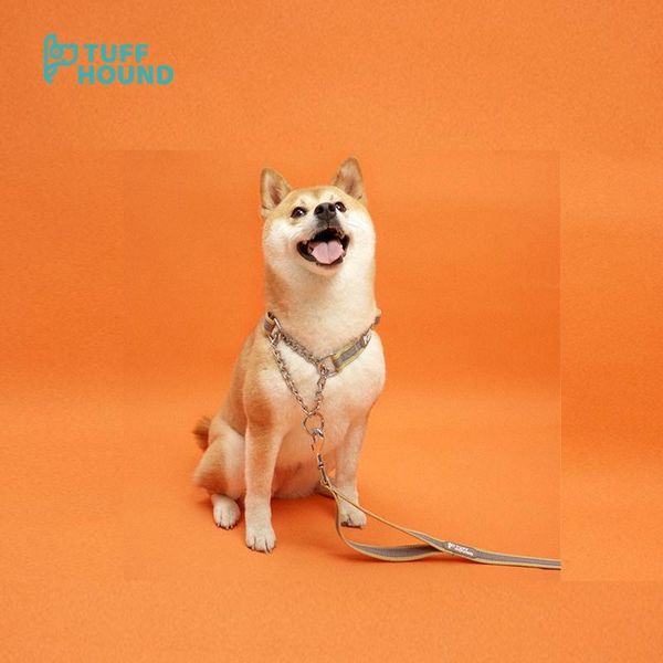dog collars & leashes tuff hound p-shape collar and leash justable nylon set suit for medium large dogs can use training purpose
dog collars & leashes tuff hound p-shape collar and leash justable nylon set suit for medium large dogs can use training purpose