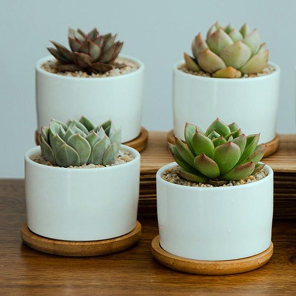 planters & pots succulent flowerpots white for home universal round ceramics mini deskoffice desk planter pot
planters & pots succulent flowerpots white for home universal round ceramics mini deskoffice desk planter pot