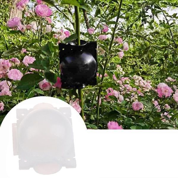 bottom adjustable plant rooting ball grafting rooting growing box breeding case plant root growing box garden 5cm in diameter
bottom adjustable plant rooting ball grafting rooting growing box breeding case plant root growing box garden 5cm in diameter