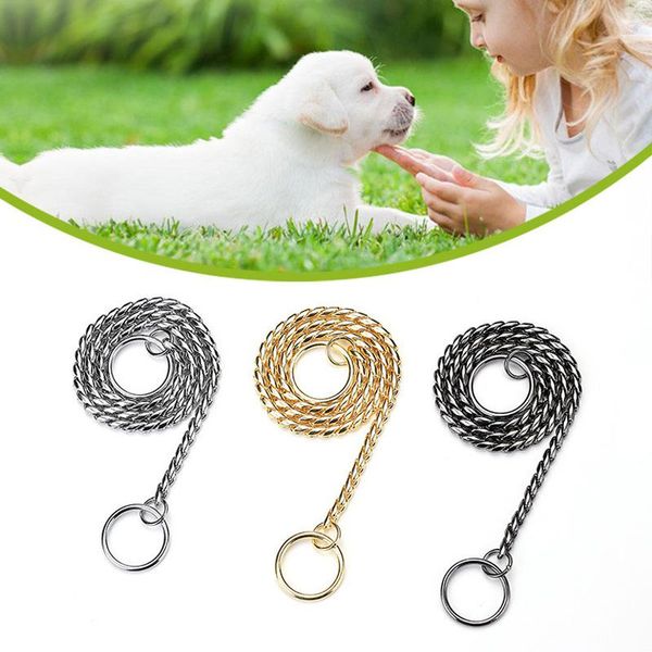 dog collars & leashes pet collar p chain metal training adjustable leash for dogs ve
dog collars & leashes pet collar p chain metal training adjustable leash for dogs ve