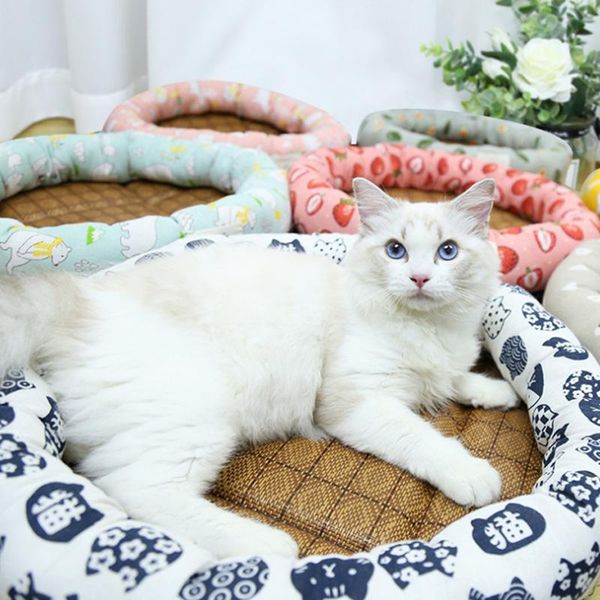 kennels & pens pet cat and dog mat summer round cooling sleeping suitable for large medium small cats dogs products
kennels & pens pet cat and dog mat summer round cooling sleeping suitable for large medium small cats dogs products