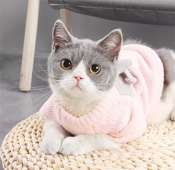 dog apparel cat sweater autumn butterfly bow pet clothes for small dogs sweatershirt kintwear jumper xs s m l xl
dog apparel cat sweater autumn butterfly bow pet clothes for small dogs sweatershirt kintwear jumper xs s m l xl