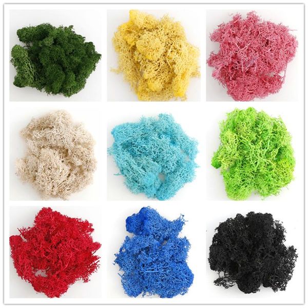 20g natural artificial plant immortal fake artificial moss green grass home living decorative wall diy flowers mini accessories
20g natural artificial plant immortal fake artificial moss green grass home living decorative wall diy flowers mini accessories