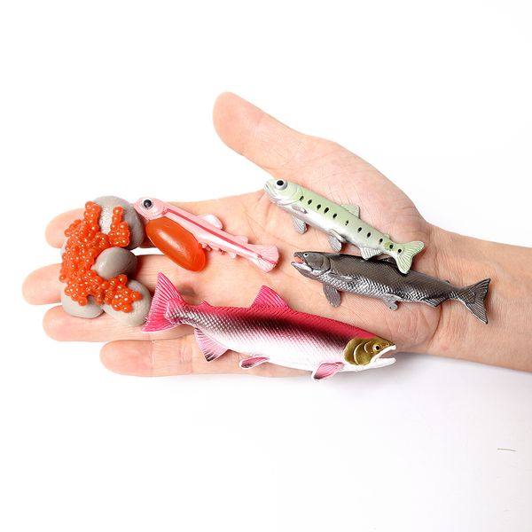 realistic life cycle of a salmon 5 separate pieces growth cycle model figurines miniature decor collector educational toys c0220
realistic life cycle of a salmon 5 separate pieces growth cycle model figurines miniature decor collector educational toys c0220