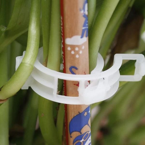 other garden supplies plant support clips trellis durable vegetable supports makes crop to grow upright and healthier for plants l66
other garden supplies plant support clips trellis durable vegetable supports makes crop to grow upright and healthier for plants l66