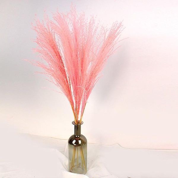 decorative flowers & wreaths 20pcs natural dried pampas grass phragmites reed home wedding christmas decoration flower bouquet plants
decorative flowers & wreaths 20pcs natural dried pampas grass phragmites reed home wedding christmas decoration flower bouquet plants