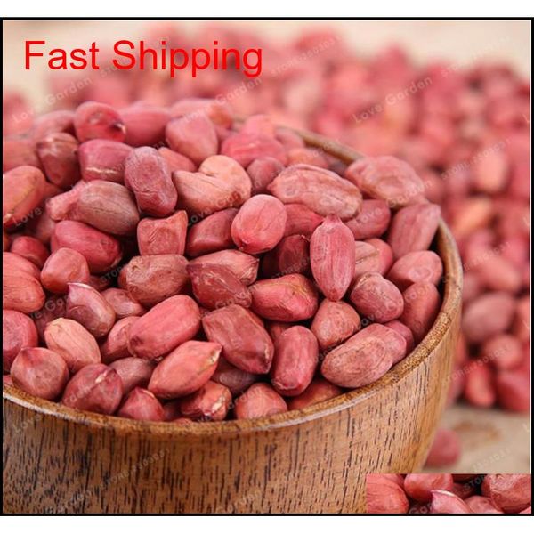 10 pcs arachis hypogaea seeds red black organic rare heirloom peanut plant seeds organic vegetable se qylzgl homes2007
10 pcs arachis hypogaea seeds red black organic rare heirloom peanut plant seeds organic vegetable se qylzgl homes2007
