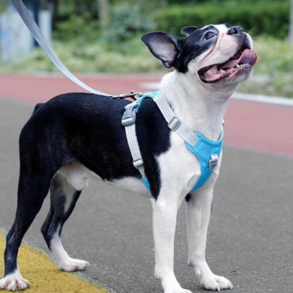 dog collars & leashes harness no pull adjustable harnesses for medium large dogs reflectivetraining vest pet running walking
dog collars & leashes harness no pull adjustable harnesses for medium large dogs reflectivetraining vest pet running walking