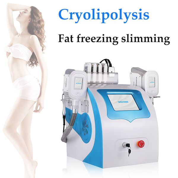 multifunction cellulite tighten slimming machine cryotherapy 40k cavitation weight removal touch screen 2 years warranty
multifunction cellulite tighten slimming machine cryotherapy 40k cavitation weight removal touch screen 2 years warranty
