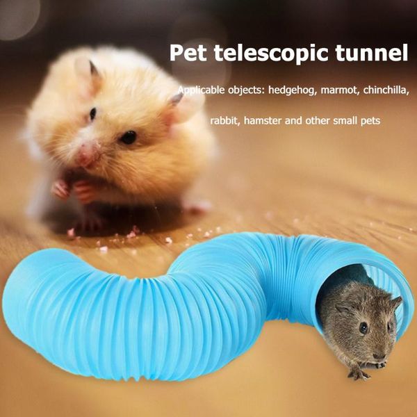 small animal supplies hamster tube diy breathable tunnel multi color collapsible crinkle kitten playing cage accessories
small animal supplies hamster tube diy breathable tunnel multi color collapsible crinkle kitten playing cage accessories