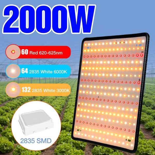 220v plant lights full spectrum led growth lamp indoor greenhouse grow tent 2000w quantum board phyto lamps 2835 chip fitolamp
220v plant lights full spectrum led growth lamp indoor greenhouse grow tent 2000w quantum board phyto lamps 2835 chip fitolamp