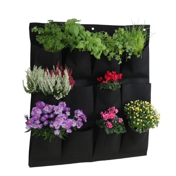 5pcs/lot wall hanging planting bags 12 pockets green grow bag planter vertical garden vegetable living garden bag home supplies
5pcs/lot wall hanging planting bags 12 pockets green grow bag planter vertical garden vegetable living garden bag home supplies