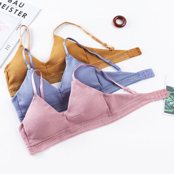 bras cotton hollow out for women underwear solid color comfort wireless bra lingerie fashion seamless padded bralette, Red;black
bras cotton hollow out for women underwear solid color comfort wireless bra lingerie fashion seamless padded bralette, Red;black