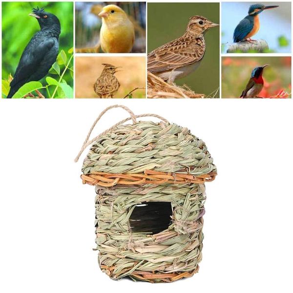 bird cages hanging house straw hand woven grass hut eco-friendly birds cozy nest shelter from cold weather
bird cages hanging house straw hand woven grass hut eco-friendly birds cozy nest shelter from cold weather