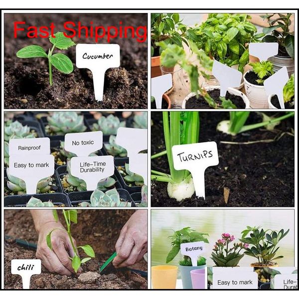 waterproof plant lables plastic plant t-type tags markers nursery garden labels seedling patio lawn gard qylimm homes2011 
waterproof plant lables plastic plant t-type tags markers nursery garden labels seedling patio lawn gard qylimm homes2011
