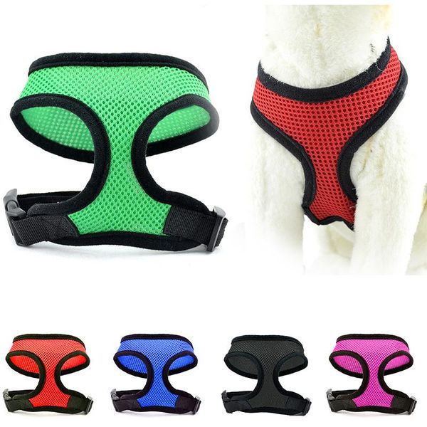 pet cat dog collar for dogs cats pet harness vest training chihuahua puppy petshop puppy chest strap
pet cat dog collar for dogs cats pet harness vest training chihuahua puppy petshop puppy chest strap
