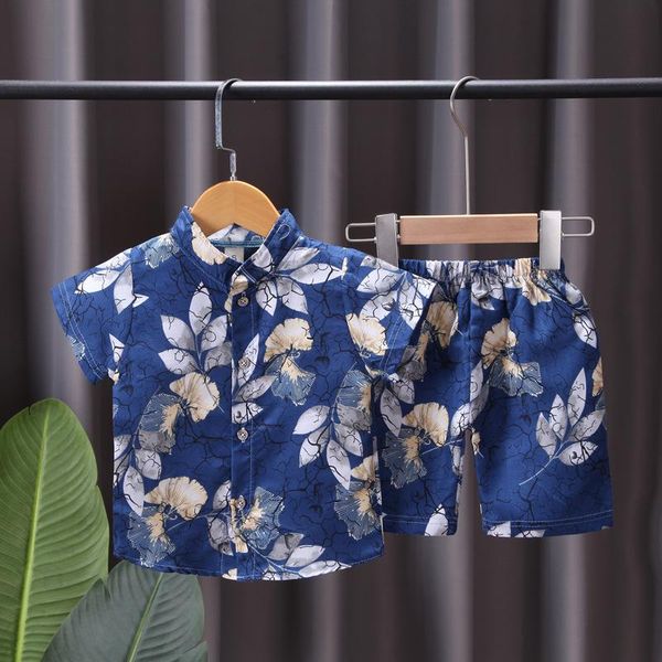 clothing sets summer hawaiian style kids baby boys girls clothes outfits holiday flower fully print short sleeve shirts+shorts, White
clothing sets summer hawaiian style kids baby boys girls clothes outfits holiday flower fully print short sleeve shirts+shorts, White
