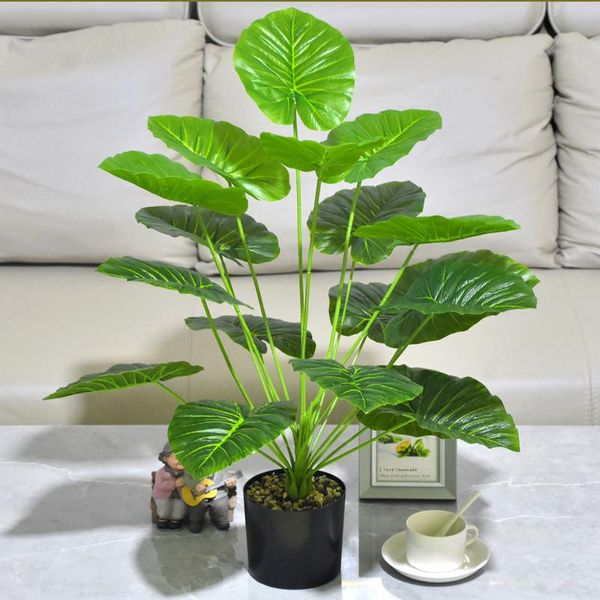 decorative flowers & wreaths 75cm18 fork green artificial plants living room bonsai home wedding decoration garden aesthetic fake plantas de
decorative flowers & wreaths 75cm18 fork green artificial plants living room bonsai home wedding decoration garden aesthetic fake plantas de