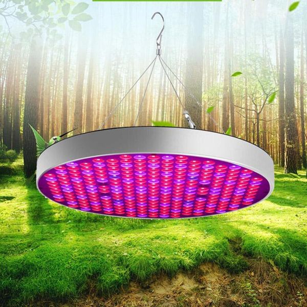 50w ufo led grow light tent box kit phyto lamp full spectrum growing for indoor greenhouse flower fitolamp plant lamp hydro
50w ufo led grow light tent box kit phyto lamp full spectrum growing for indoor greenhouse flower fitolamp plant lamp hydro
