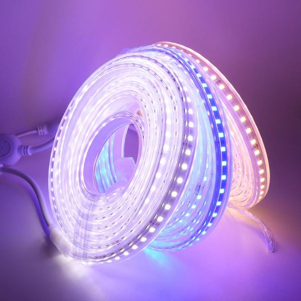 strips ac 220v led strip smd 2835 high safety brightness tape 60leds/m flexible light outdoor waterproof
strips ac 220v led strip smd 2835 high safety brightness tape 60leds/m flexible light outdoor waterproof