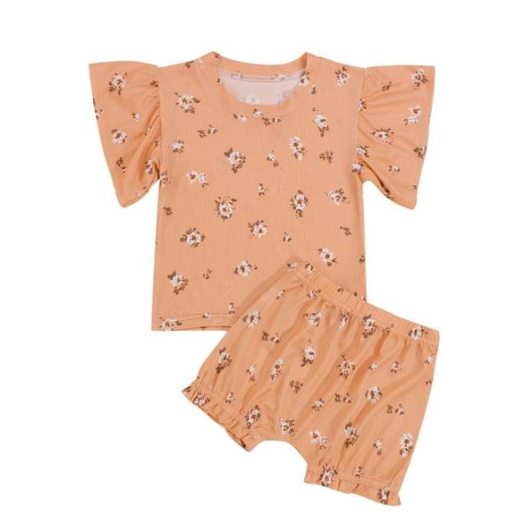 clothing sets 2pcs baby girls summer outfits cute floral print short sleeve t-shirts shorts set, White
clothing sets 2pcs baby girls summer outfits cute floral print short sleeve t-shirts shorts set, White