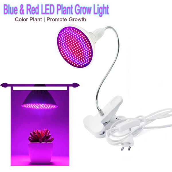 e27 growing light phyto lamp full spectrum led grow light bulbs fitolamp for indoor seedlings flower fitolampy grow tent box
e27 growing light phyto lamp full spectrum led grow light bulbs fitolamp for indoor seedlings flower fitolampy grow tent box