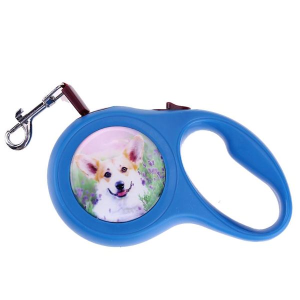 dog collars & leashes automatic retractable traction rope pet leads adjustable harness walk training extending supplies
dog collars & leashes automatic retractable traction rope pet leads adjustable harness walk training extending supplies