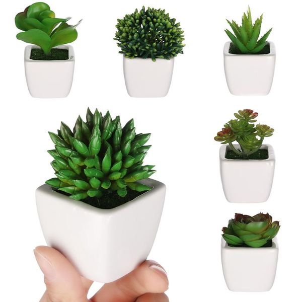 artificial mini plants succulents fake flowers bonsai lotus floral craft vivid office table indoor plants home decor
artificial mini plants succulents fake flowers bonsai lotus floral craft vivid office table indoor plants home decor