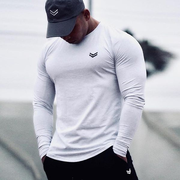 men's t-shirts long sleeve t shirt sport men gym quick dry fitness training running workout t-shirt bodybuilding, White;black
men's t-shirts long sleeve t shirt sport men gym quick dry fitness training running workout t-shirt bodybuilding, White;black