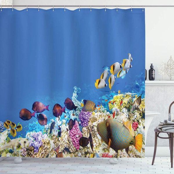 shower curtains ocean decor collection multicolored fish schools swimming between submerged ancient coral reefs nature marine world print
shower curtains ocean decor collection multicolored fish schools swimming between submerged ancient coral reefs nature marine world print