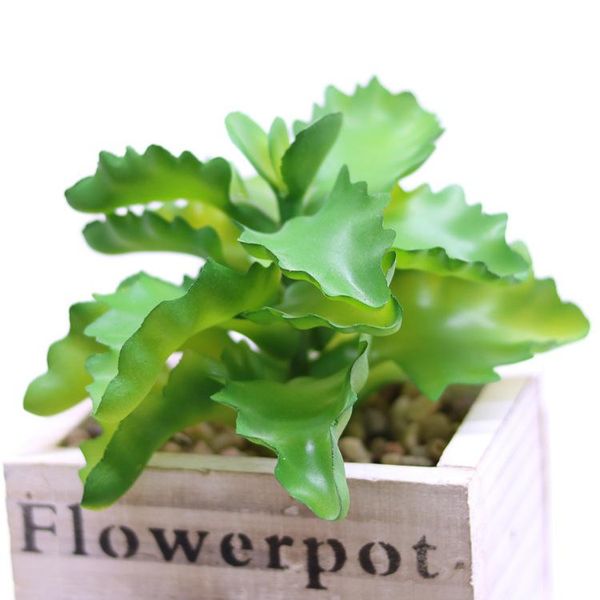artificial plant longevity leaf indoor outdoor showcase decoration plant wall accessories filming props
artificial plant longevity leaf indoor outdoor showcase decoration plant wall accessories filming props