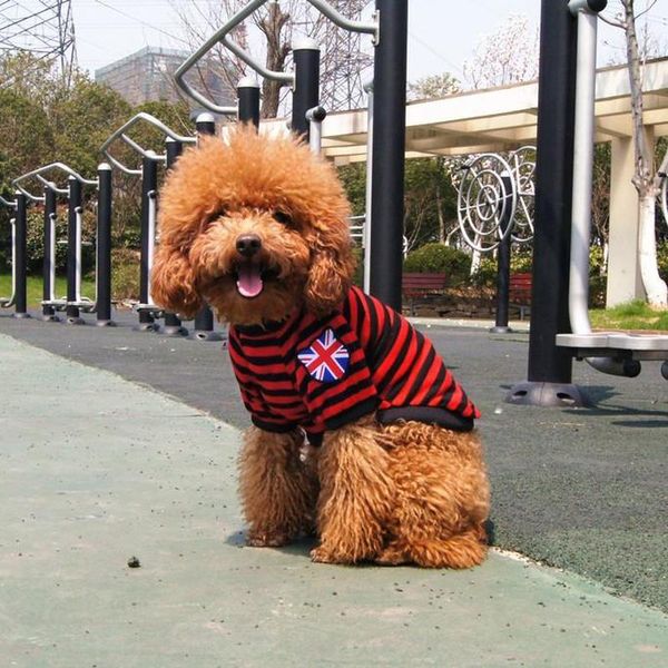 dog apparel spring/summer 100% cotton pets clothes printed puppy vest soft wool small milk poodle clothing
dog apparel spring/summer 100% cotton pets clothes printed puppy vest soft wool small milk poodle clothing