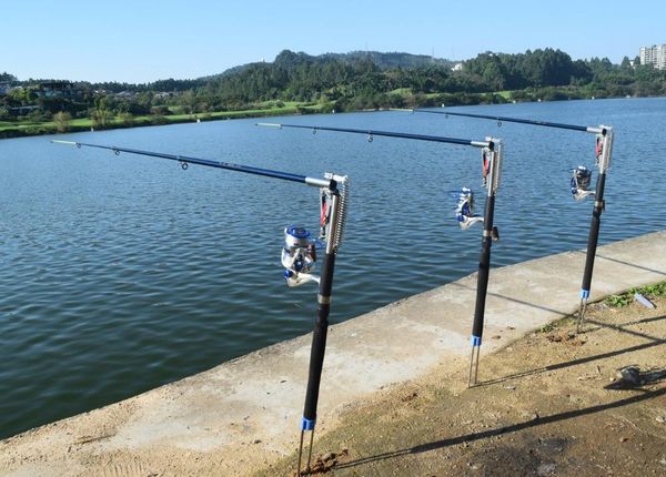boat fishing rods 2021 2.1 & 2.4m automatic rod (without reel) ideal sea river lake pool fish with stainless steel hardware
boat fishing rods 2021 2.1 & 2.4m automatic rod (without reel) ideal sea river lake pool fish with stainless steel hardware