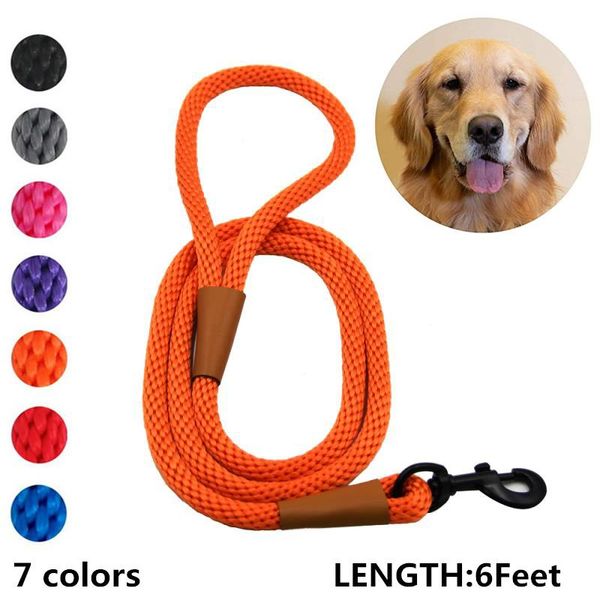 6 feet premium leather dog leash strong rope leash leather handle stainless steel strong clasp small medium large dogs
6 feet premium leather dog leash strong rope leash leather handle stainless steel strong clasp small medium large dogs