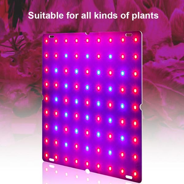 grow light plant growing bulbs 25w eu plug hanging lamps with red blue full spectrum for greenhouse indoor plants vegetables lights
grow light plant growing bulbs 25w eu plug hanging lamps with red blue full spectrum for greenhouse indoor plants vegetables lights
