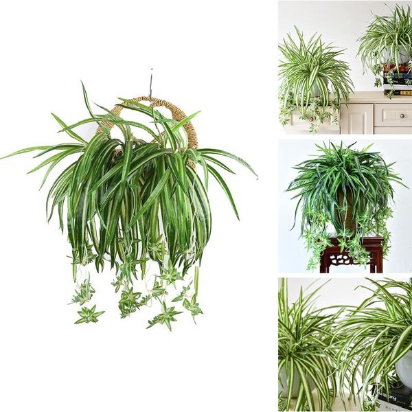 decorative flowers & wreaths artificial plants wall hanging chlorophytum potted green pvc fake simulation flower living room decor no pot
decorative flowers & wreaths artificial plants wall hanging chlorophytum potted green pvc fake simulation flower living room decor no pot