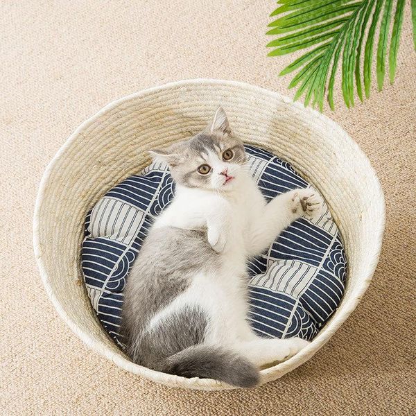 sixpenny 2021 new woven basket nest all year round pet cat mat
sixpenny 2021 new woven basket nest all year round pet cat mat