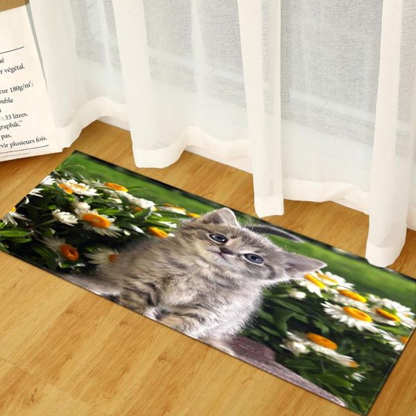 carpets 3d animal pattern mats for bedroom kitchen carpet washable door mat entrance hallway living room floor rug non slip welcome rugs
carpets 3d animal pattern mats for bedroom kitchen carpet washable door mat entrance hallway living room floor rug non slip welcome rugs