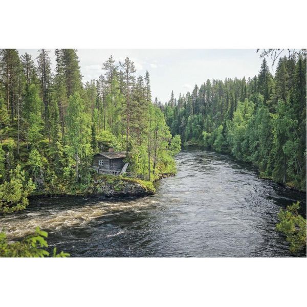 party decoration landscape backdrop cabin by the forest river background decor born wedding pography po booth studio props
party decoration landscape backdrop cabin by the forest river background decor born wedding pography po booth studio props