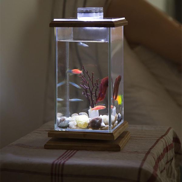 party masks novel and funny super white glass mini aquarium creative lazy man ecological fish tank landscaping rotating light viewing baby
party masks novel and funny super white glass mini aquarium creative lazy man ecological fish tank landscaping rotating light viewing baby